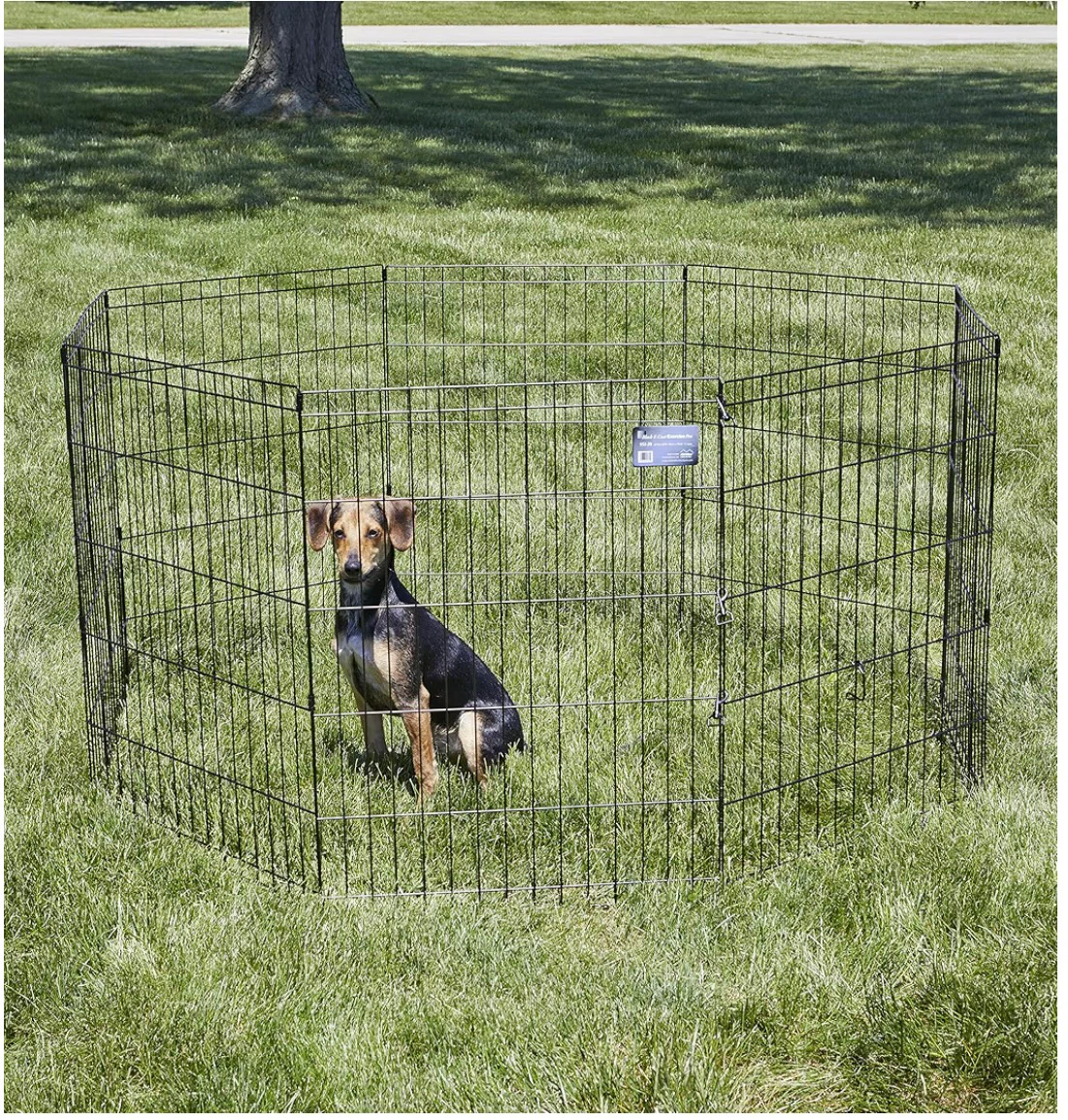 Exercise Dog Pen - photo 3