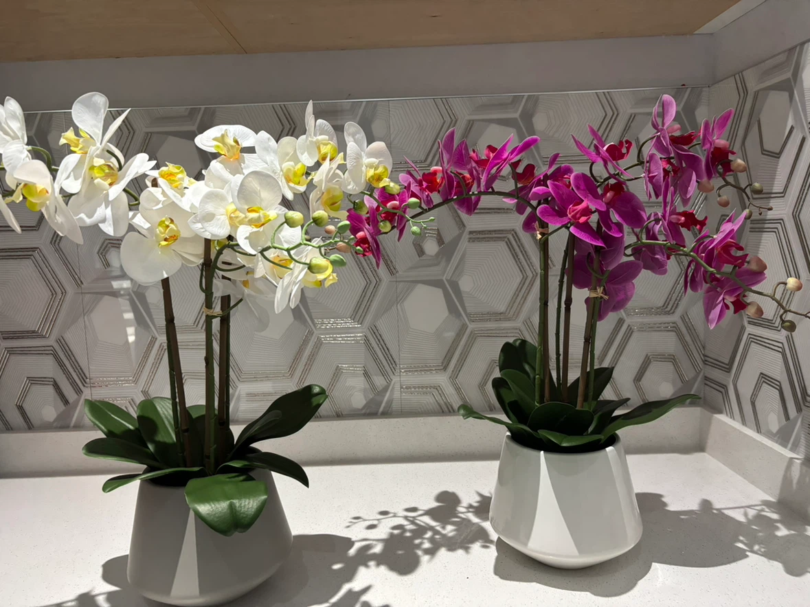 Artificial  white and pink Orchid plants