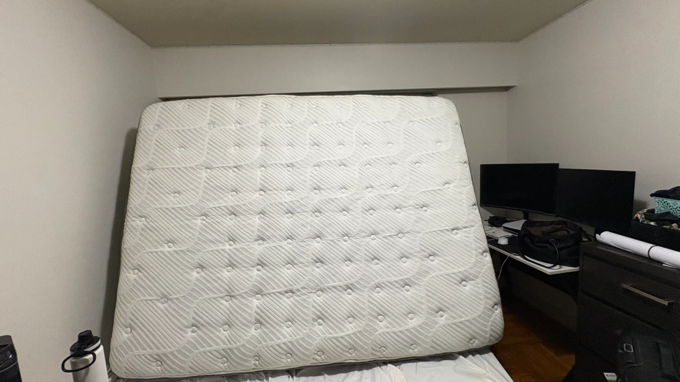 Sealy Posturepedic Optimum Mattress