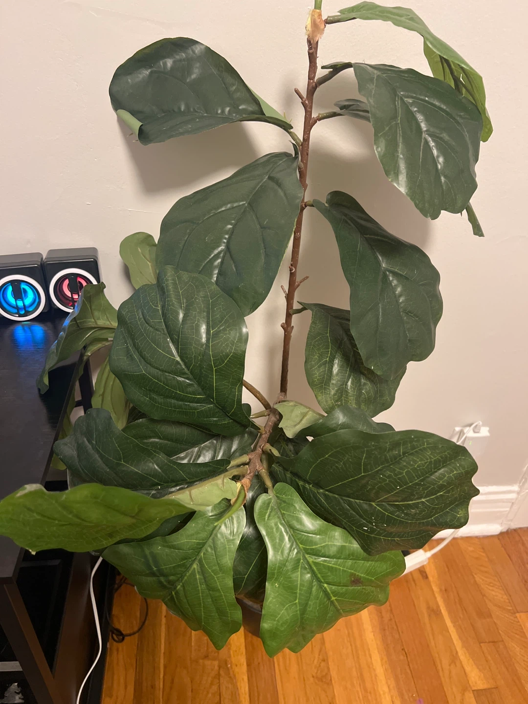 Artificial Fiddle Leaf Fig Plant