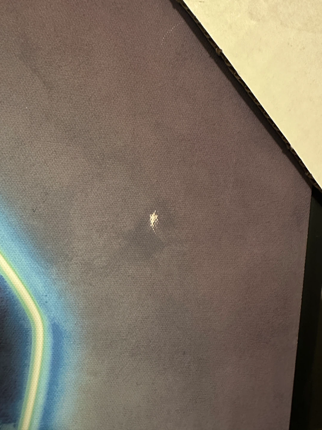 Framed Drake Canvas Art - photo 2