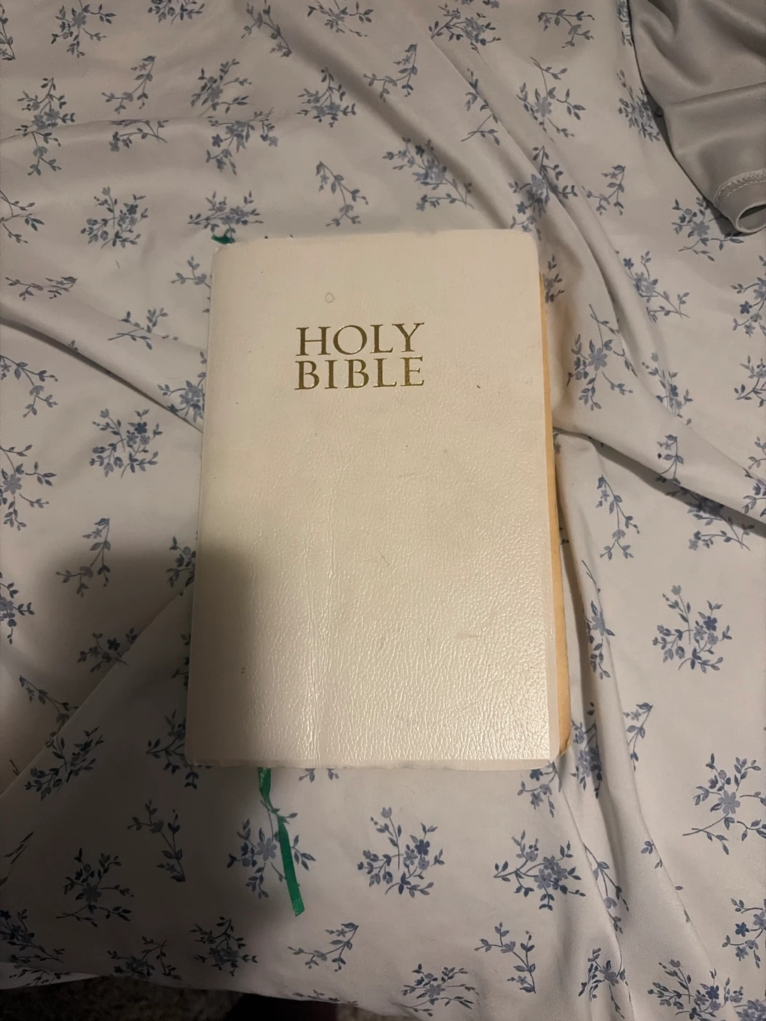 Holy Bible(king james version)