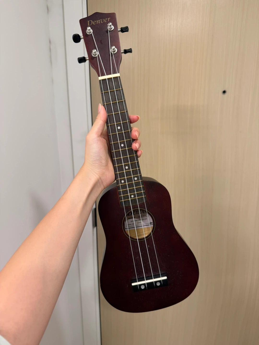 Denver Ukulele with Gig Bag