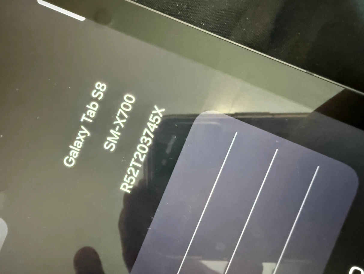 Samsung Galaxy Tab S8 Tablet with earphon