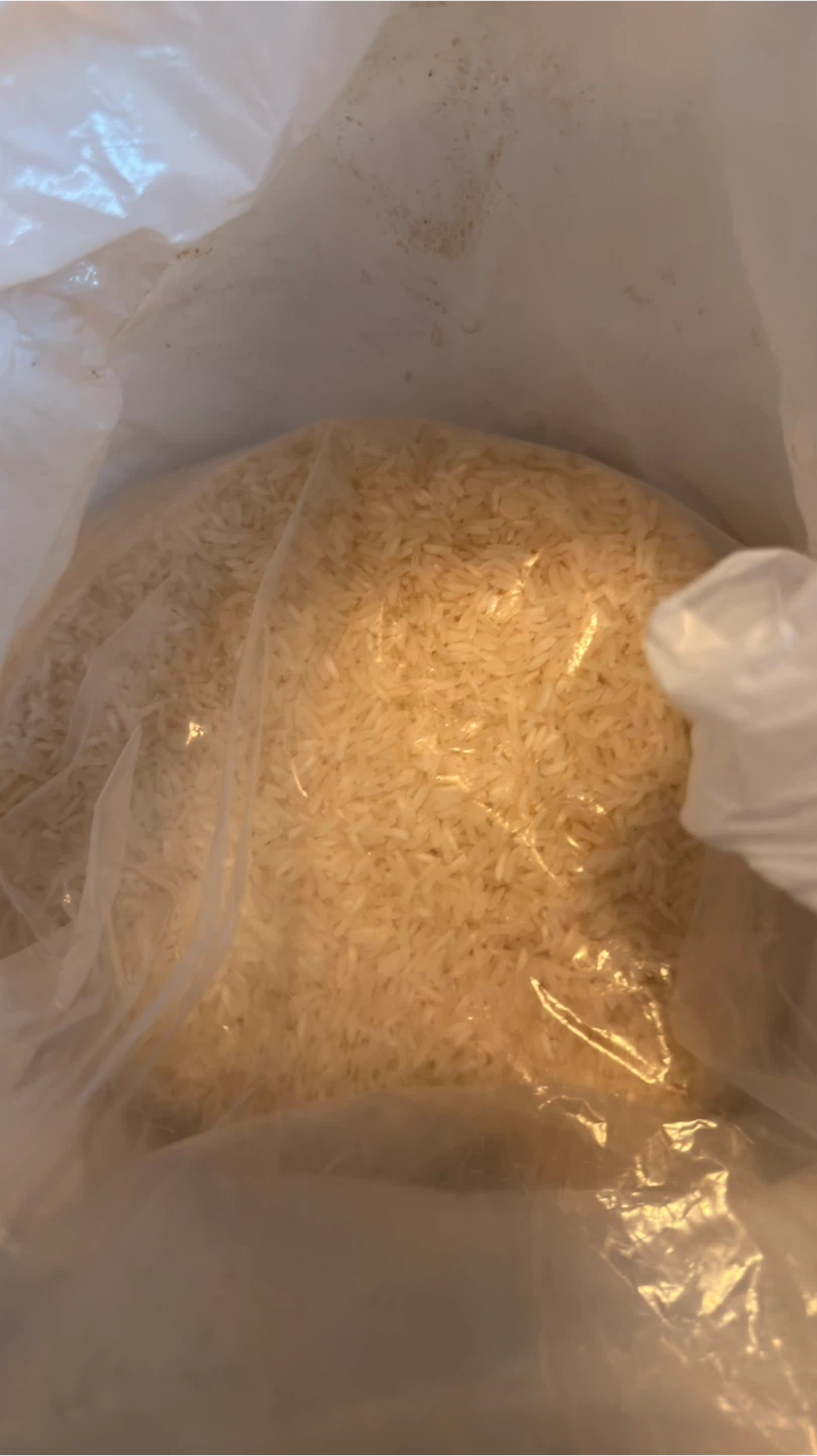 Free Bag of Rice