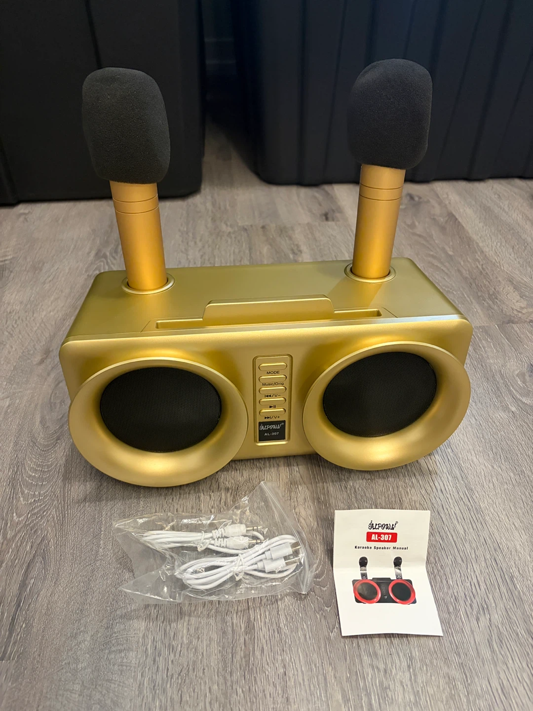 AL-307 Karaoke Speaker with 2 Microphones