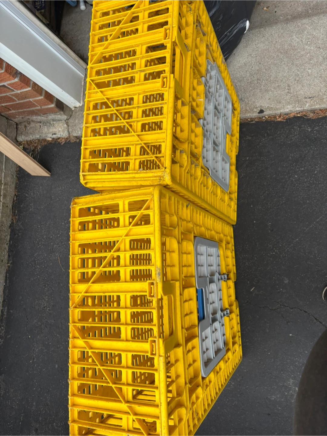 Heavy Duty Chicken Poultry Transport Crate (2 Available) - photo 4