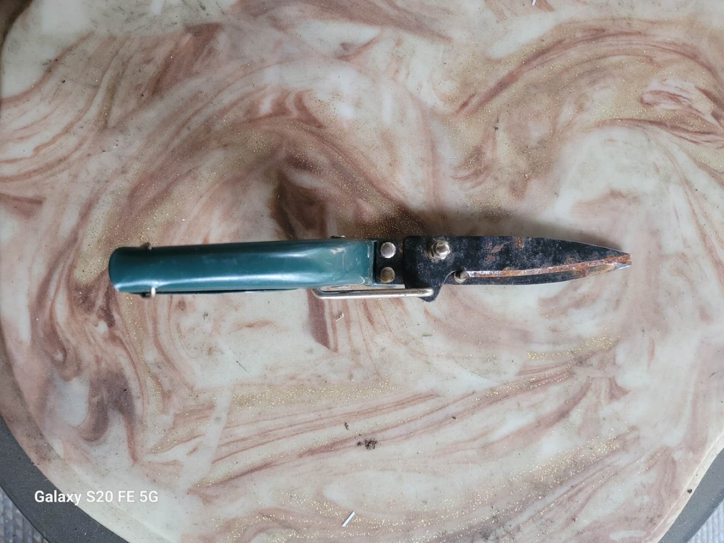 Vintage Pruning Shears and Hatchet Set