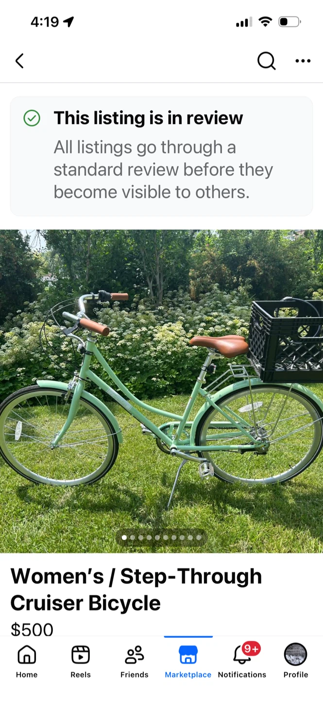 Mint Green Women's Cruiser Bicycle with Milk Crate