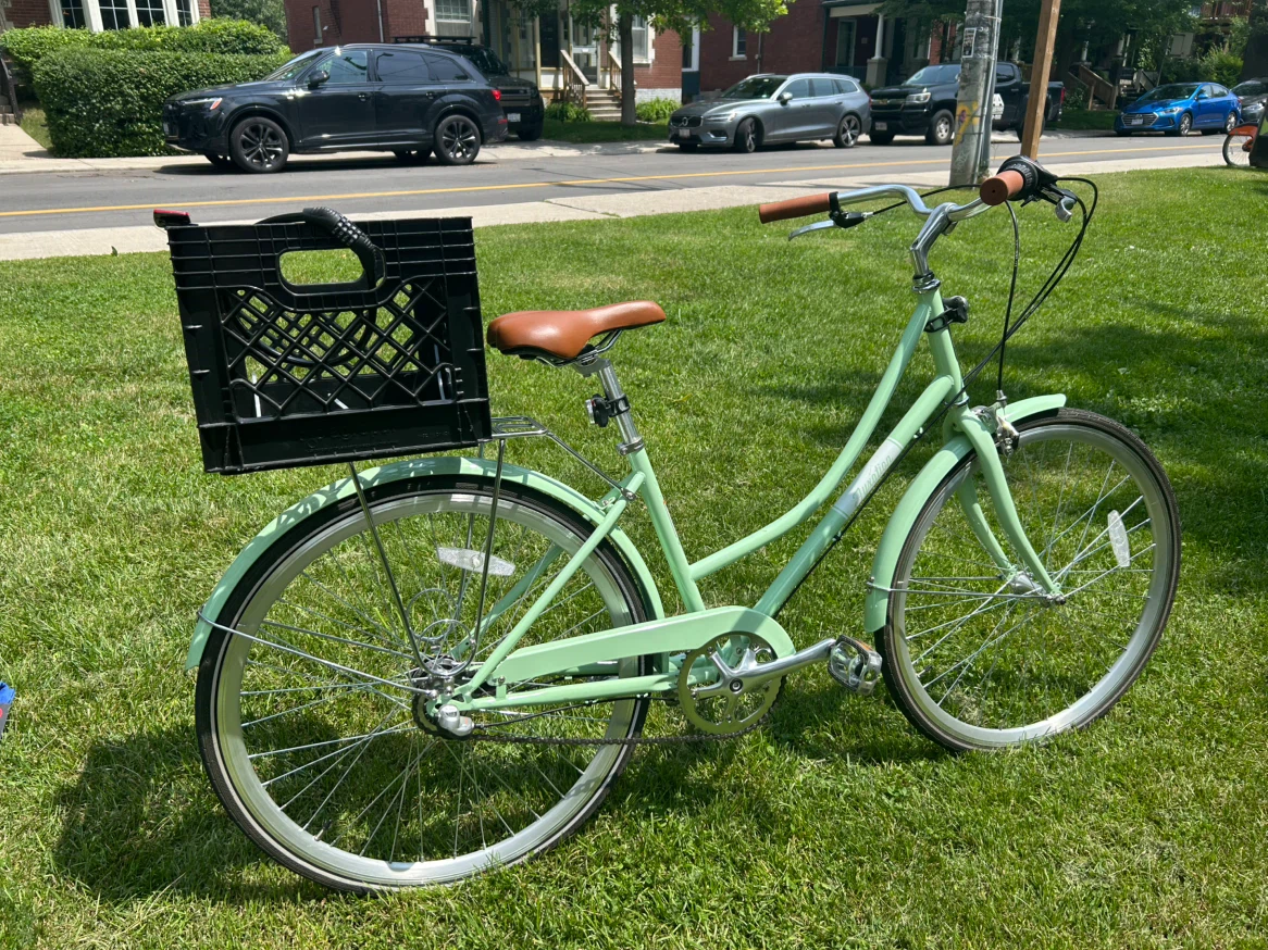 Mint Green Women's Cruiser Bicycle with Milk Crate - photo 4