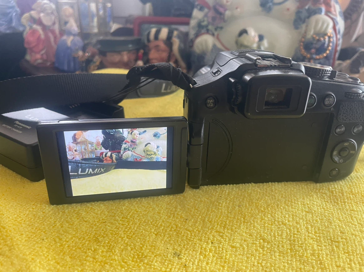 Panasonic Lumix FZ28 Digital Camera - photo 2