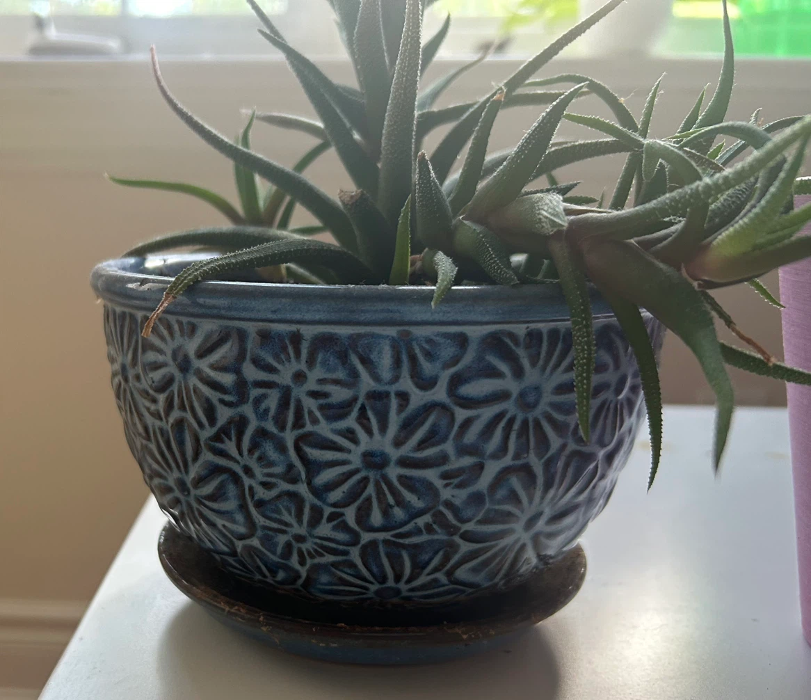 Assorted Ceramic Planters - photo 5