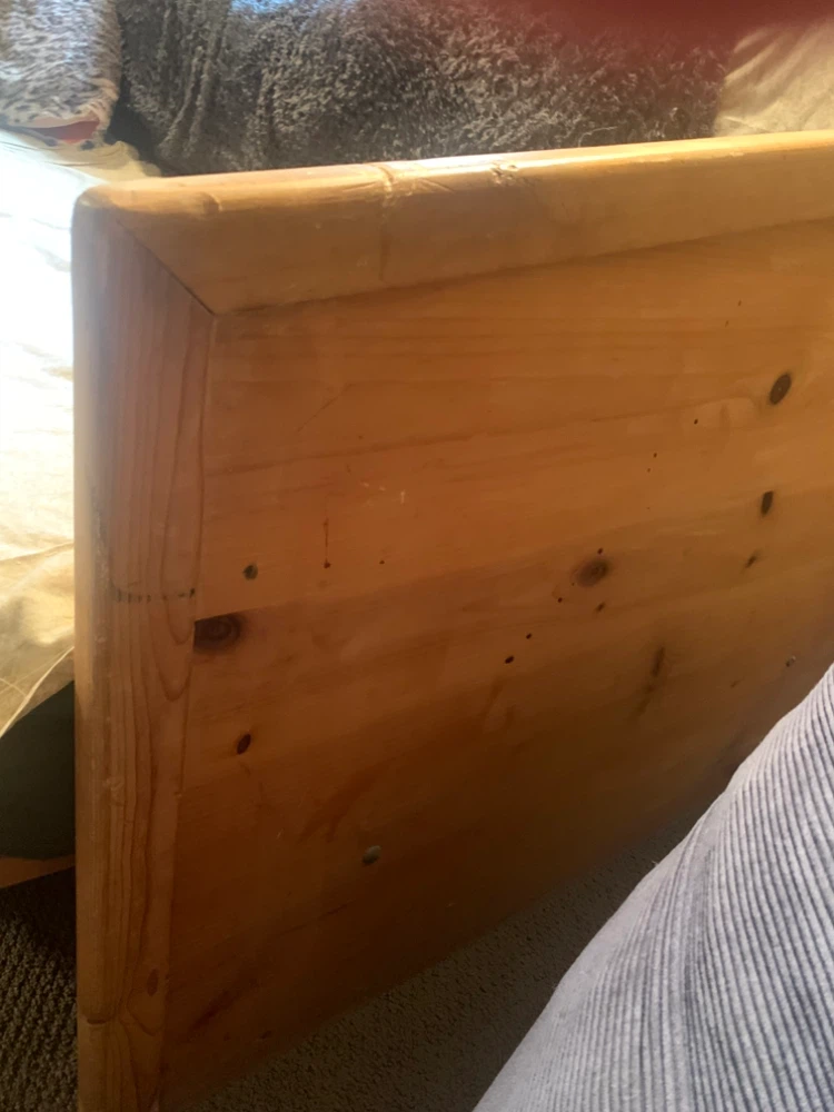 Solid pine Daybed/futon with mattress - photo 2