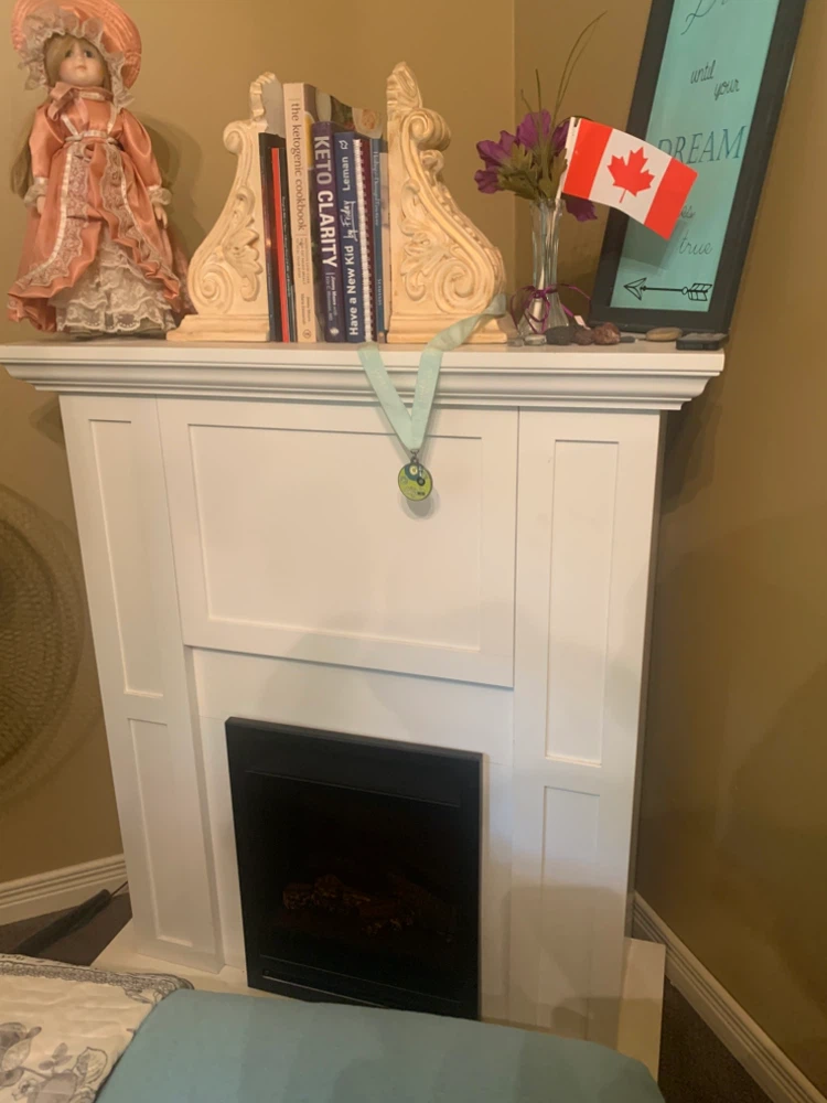 Electric fireplace (needs blower repair)