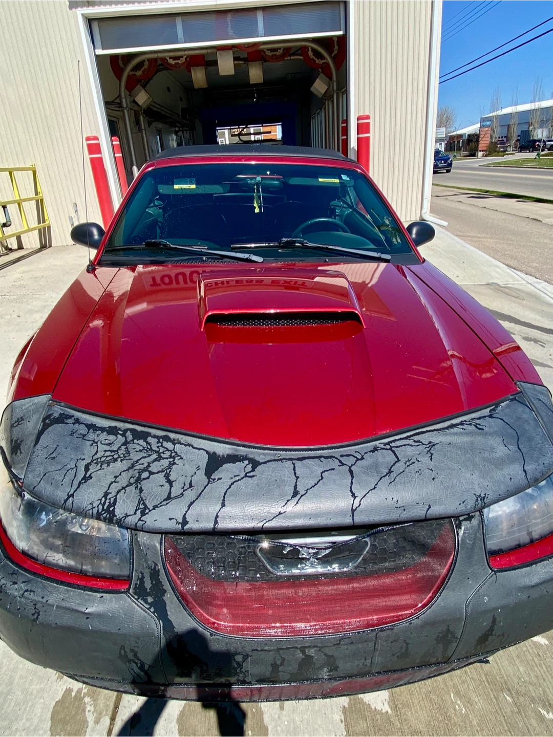 2003 Ford Mustang - photo 4