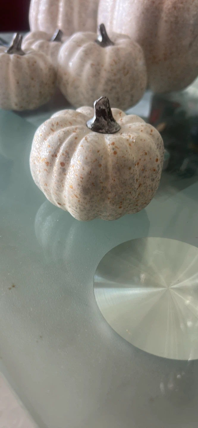 Set of 7 Decorative Pumpkins - photo 3