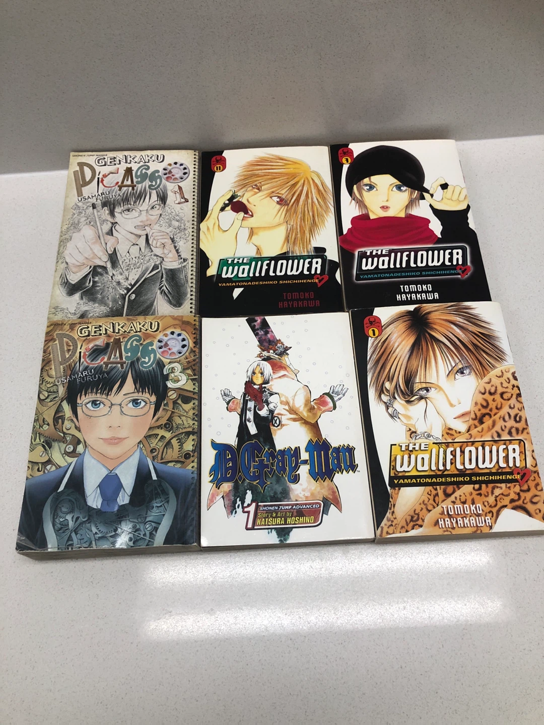 Manga Lot: The Wallflower, D.Gray-man, Genkaku Picasso