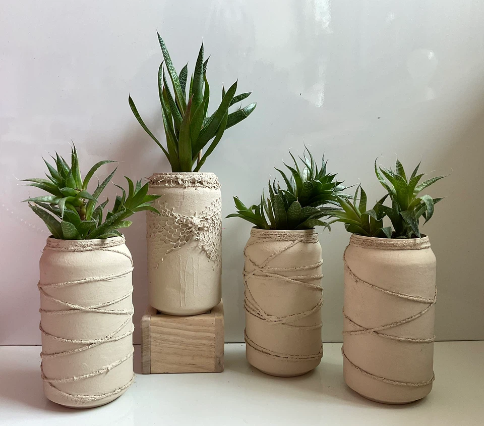 Potted Gasteraloe and Haworthia Succulent Plants