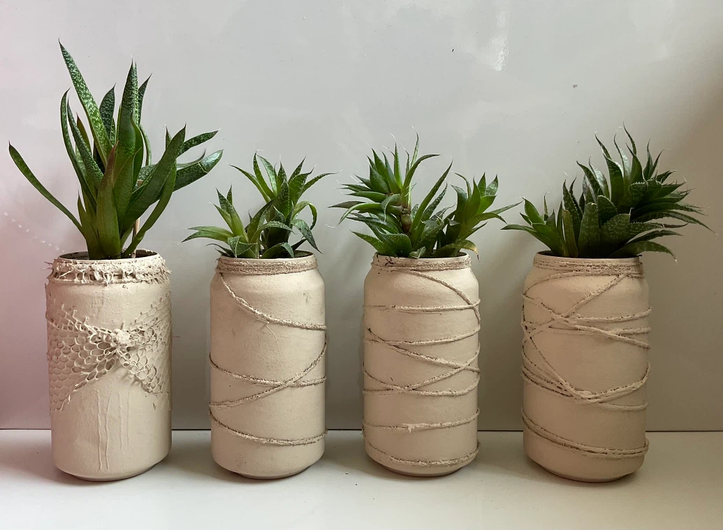 Potted Gasteraloe and Haworthia Succulent Plants - photo 2