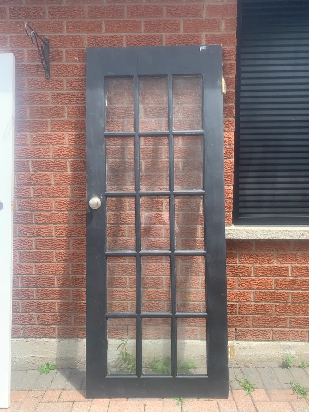 Black French Door with 12 Panes