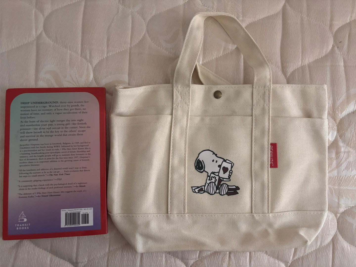 Snoopy bag
