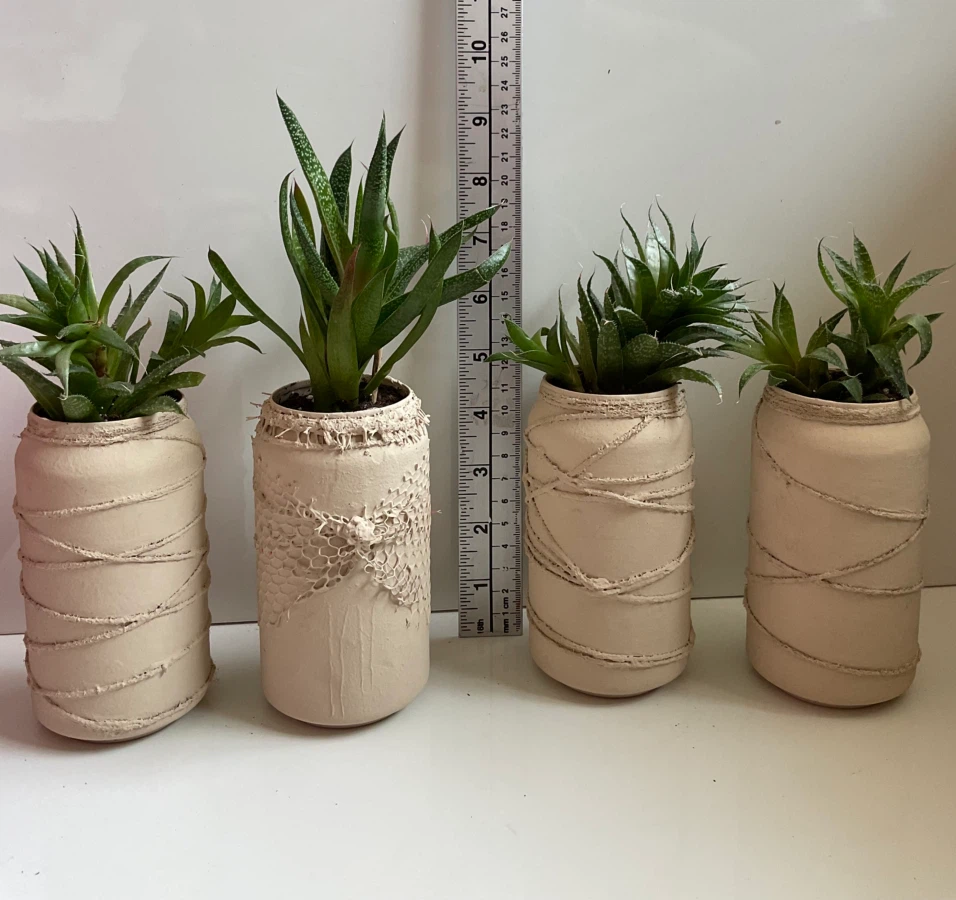 Potted Gasteraloe and Haworthia Succulent Plants - photo 3