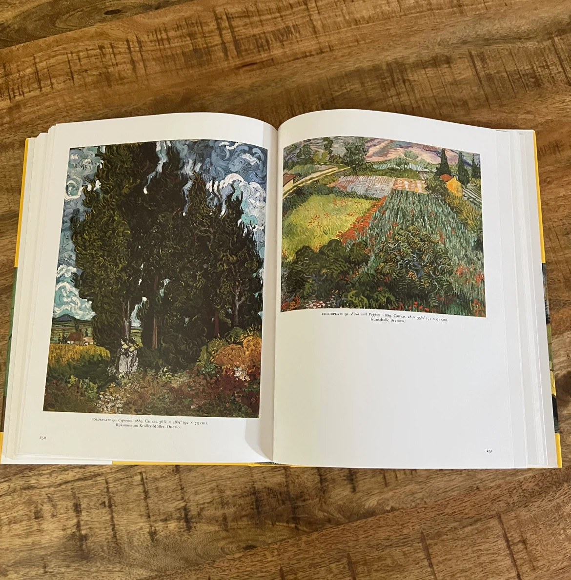 Van Gogh: A Retrospective Hardcover Coffee Table Art Book (1986) - photo 5