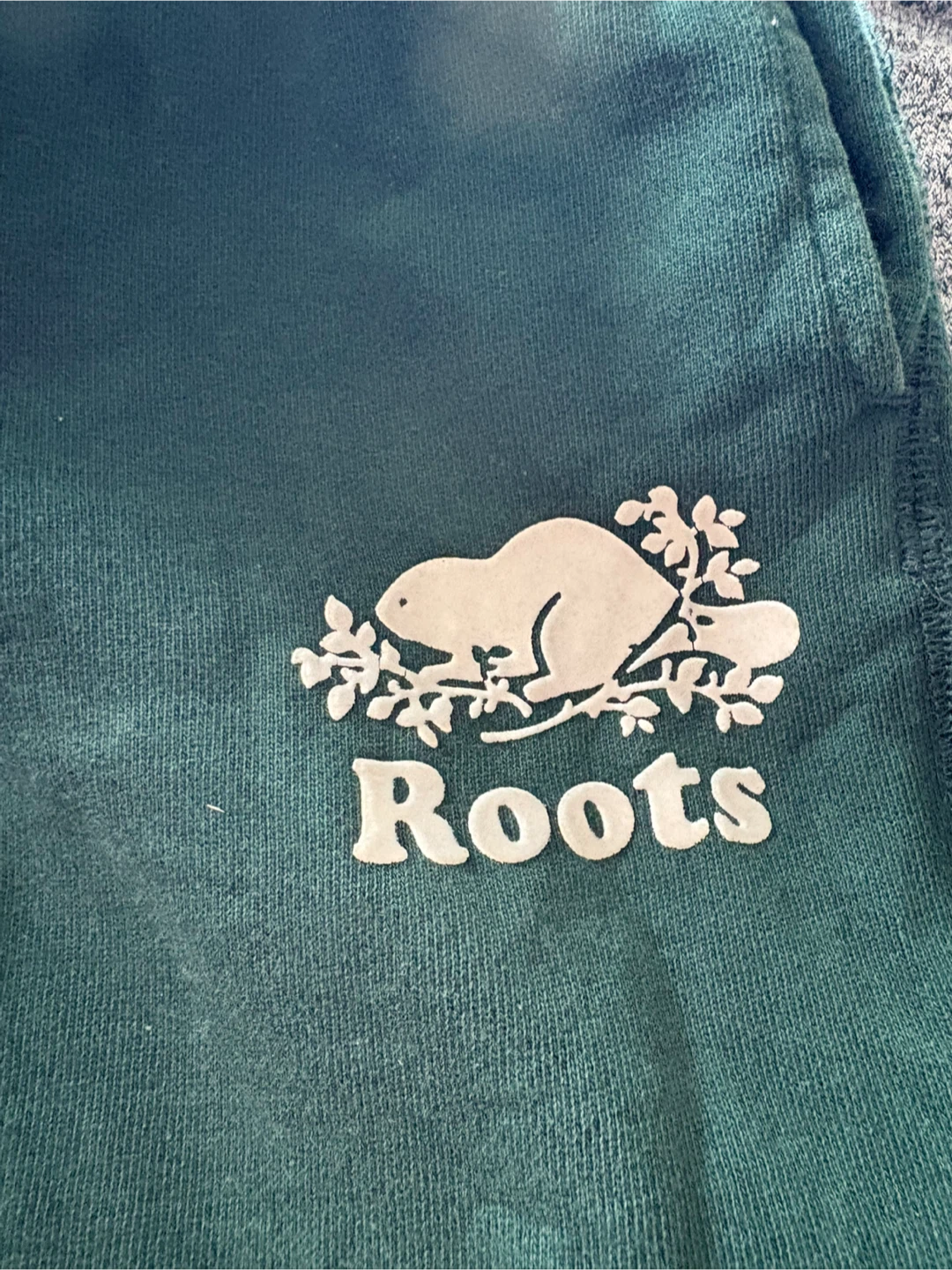Roots Kids Sweat Shorts Size 7 (Green & Grey Marl) - photo 2