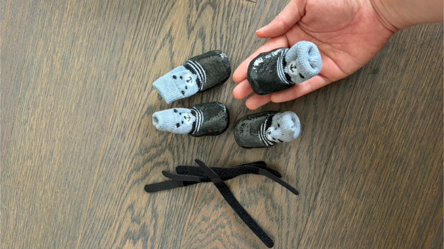 Small Dog Carrier, dog shoes, and bowel - photo 4