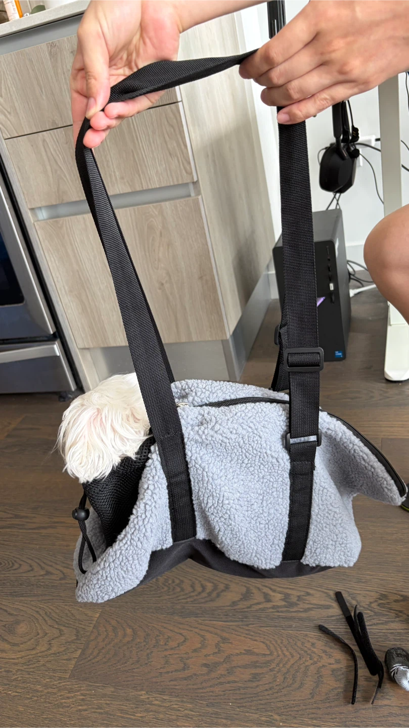 Small Dog Carrier, dog shoes, and bowel - photo 3