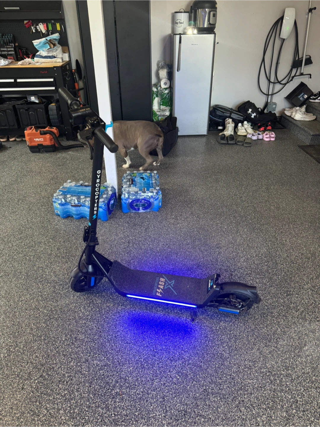 Gyrocopter e scooter flash 3.0 - photo 2