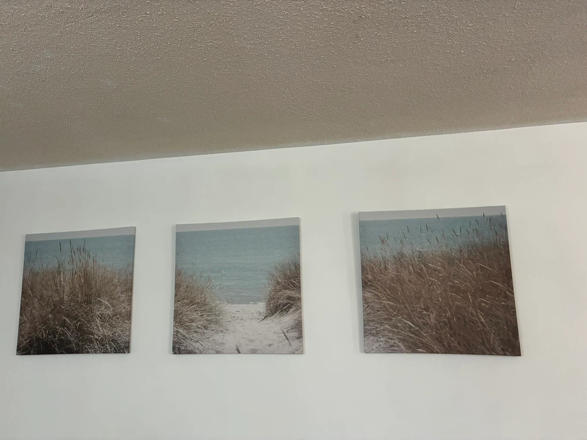 Ikea Picture - photo 3