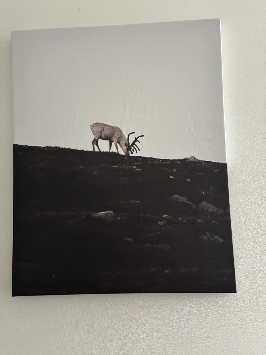 Ikea Picture - photo 5
