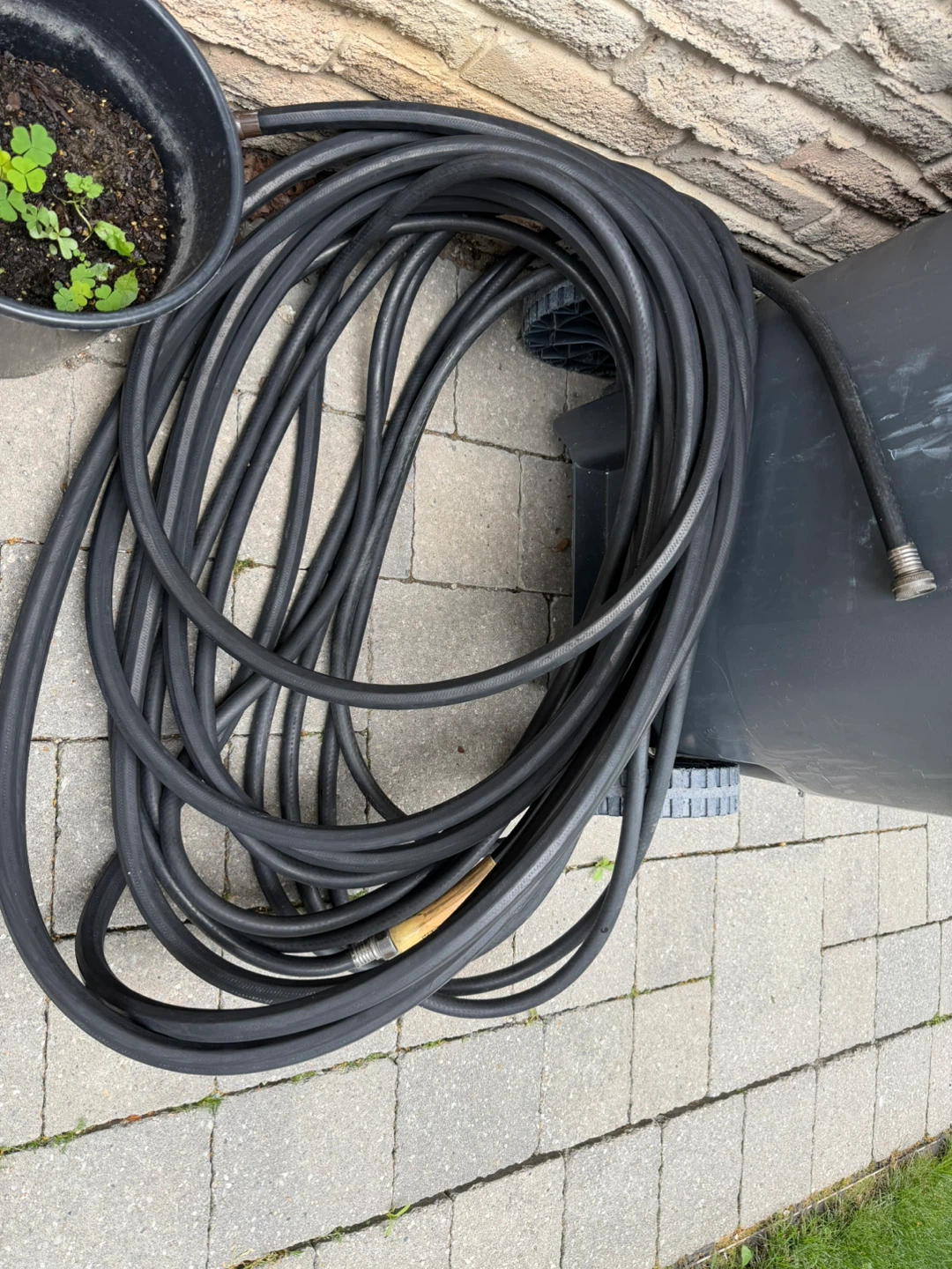 Rubber garden hose 2x50’