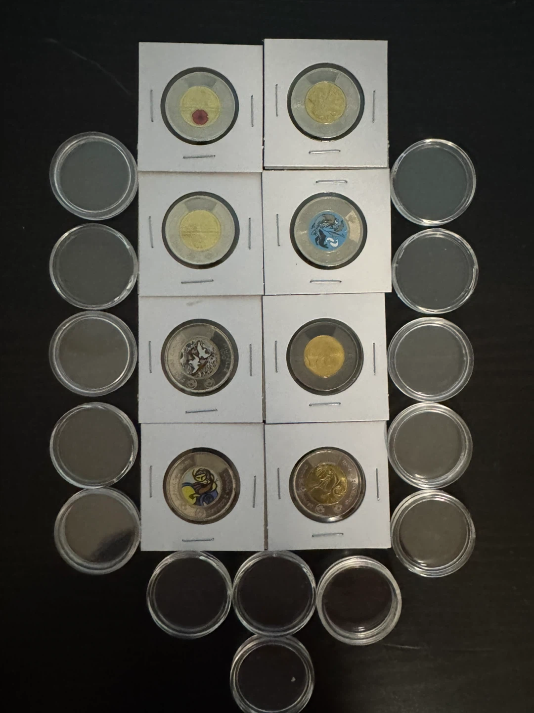 Collection of 8 Canadian toonies