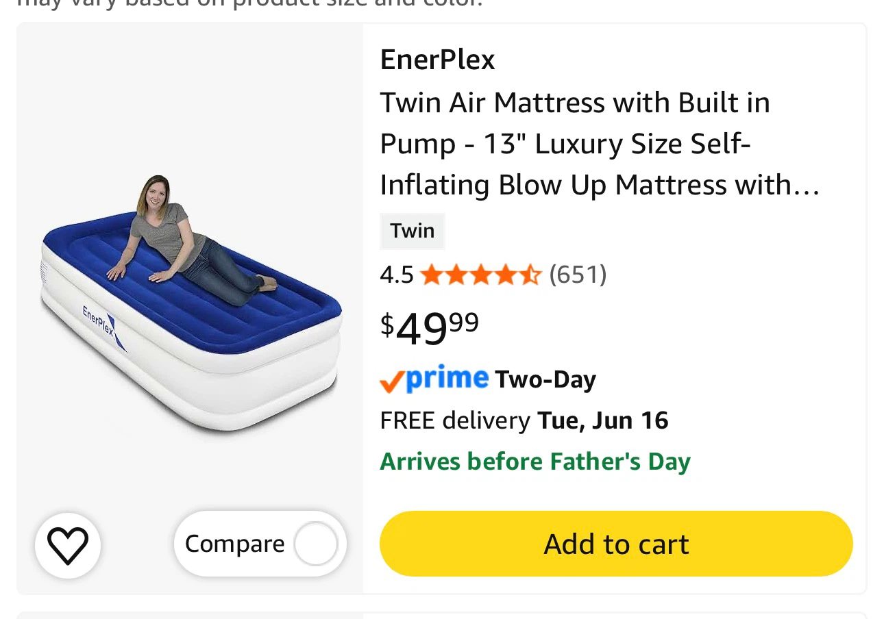 EnerPlex Twin Air Mattress with Built-in Pump
