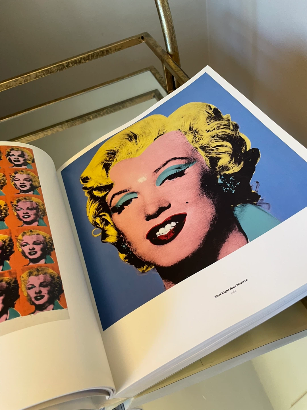 Andy Warhol Portraits Book by Phaidon - photo 4