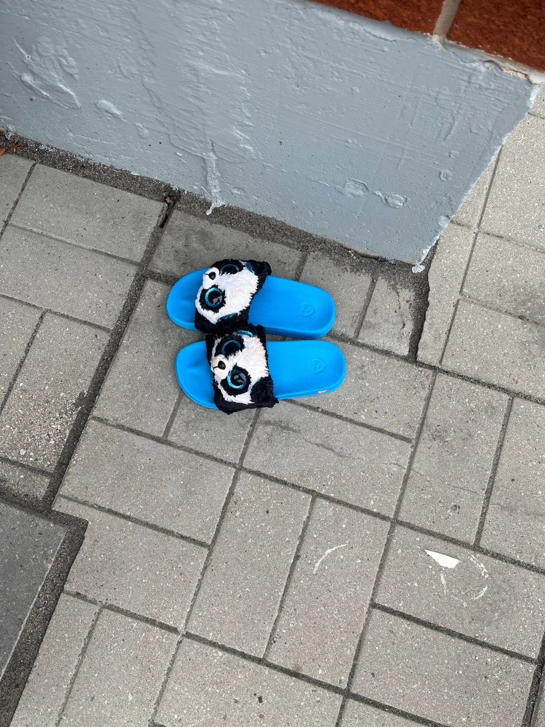 Blue Panda Slides