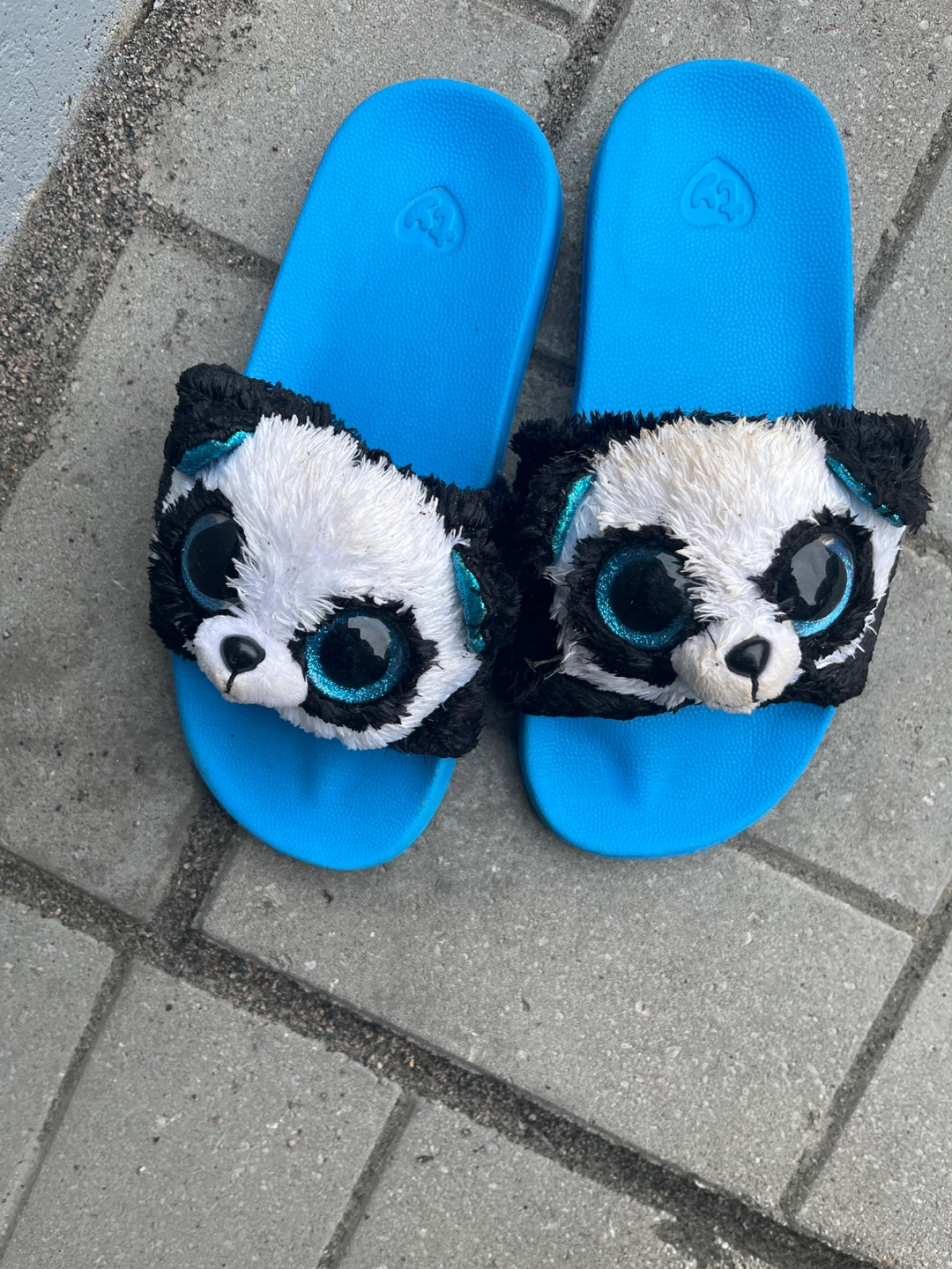 Blue Panda Slides - photo 2