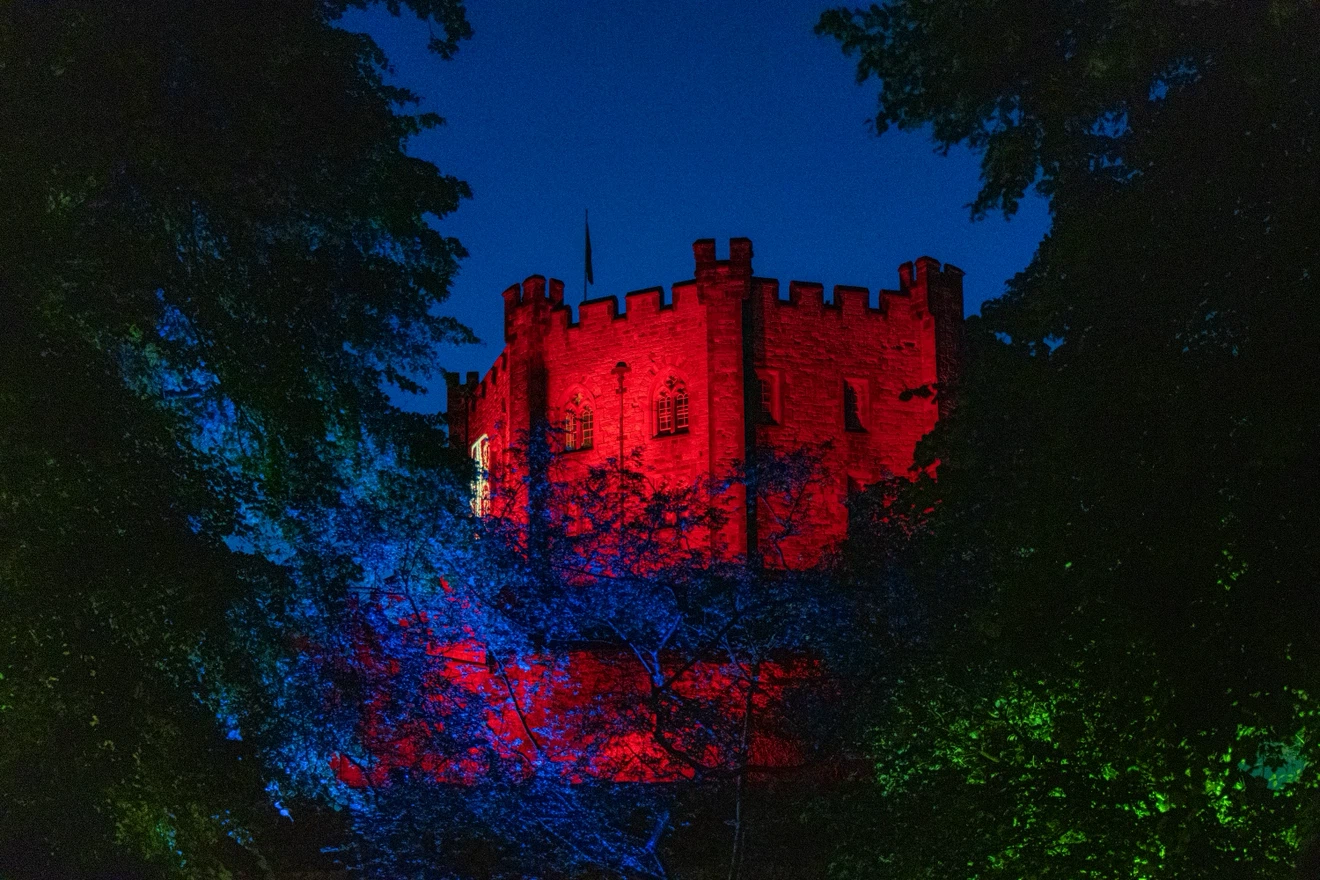 PHOTOGRAPHER FOR HIRE - photo 4