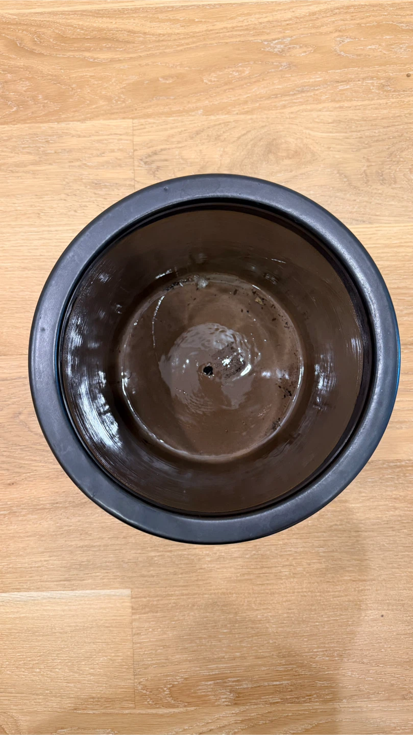 CB2 Ceramic Planter Pot - photo 2