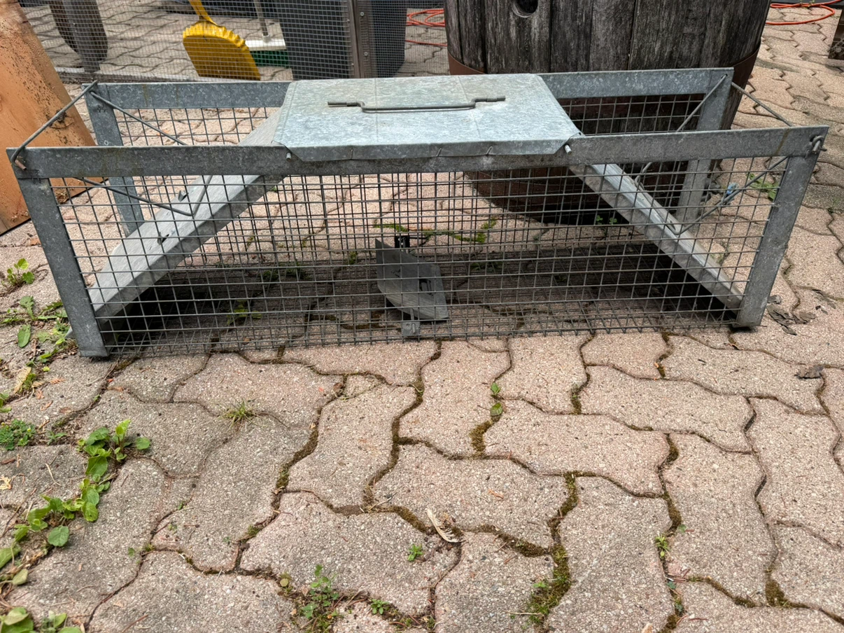 Galvanized Metal Animal Trap Cage