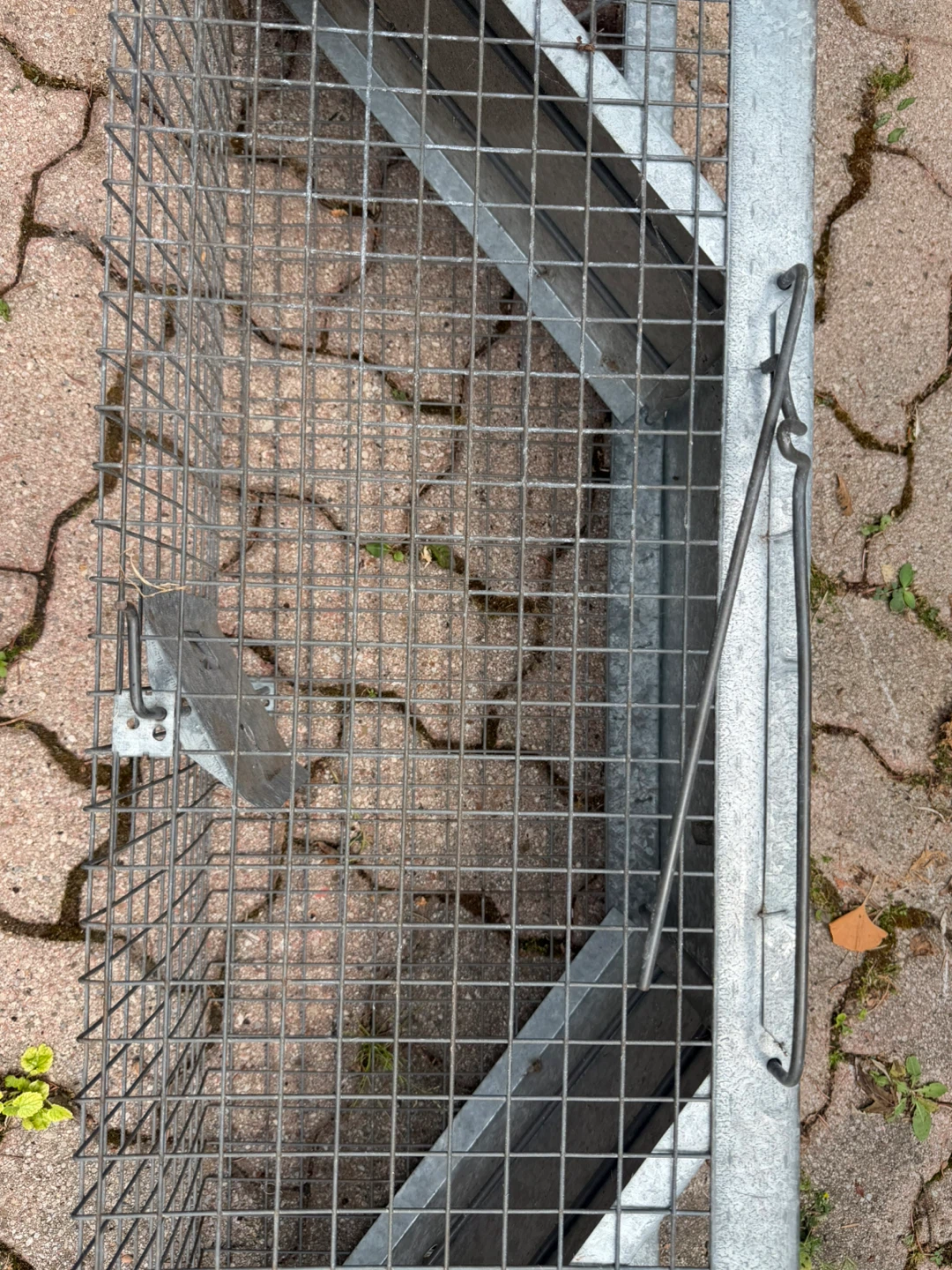 Galvanized Metal Animal Trap Cage - photo 2