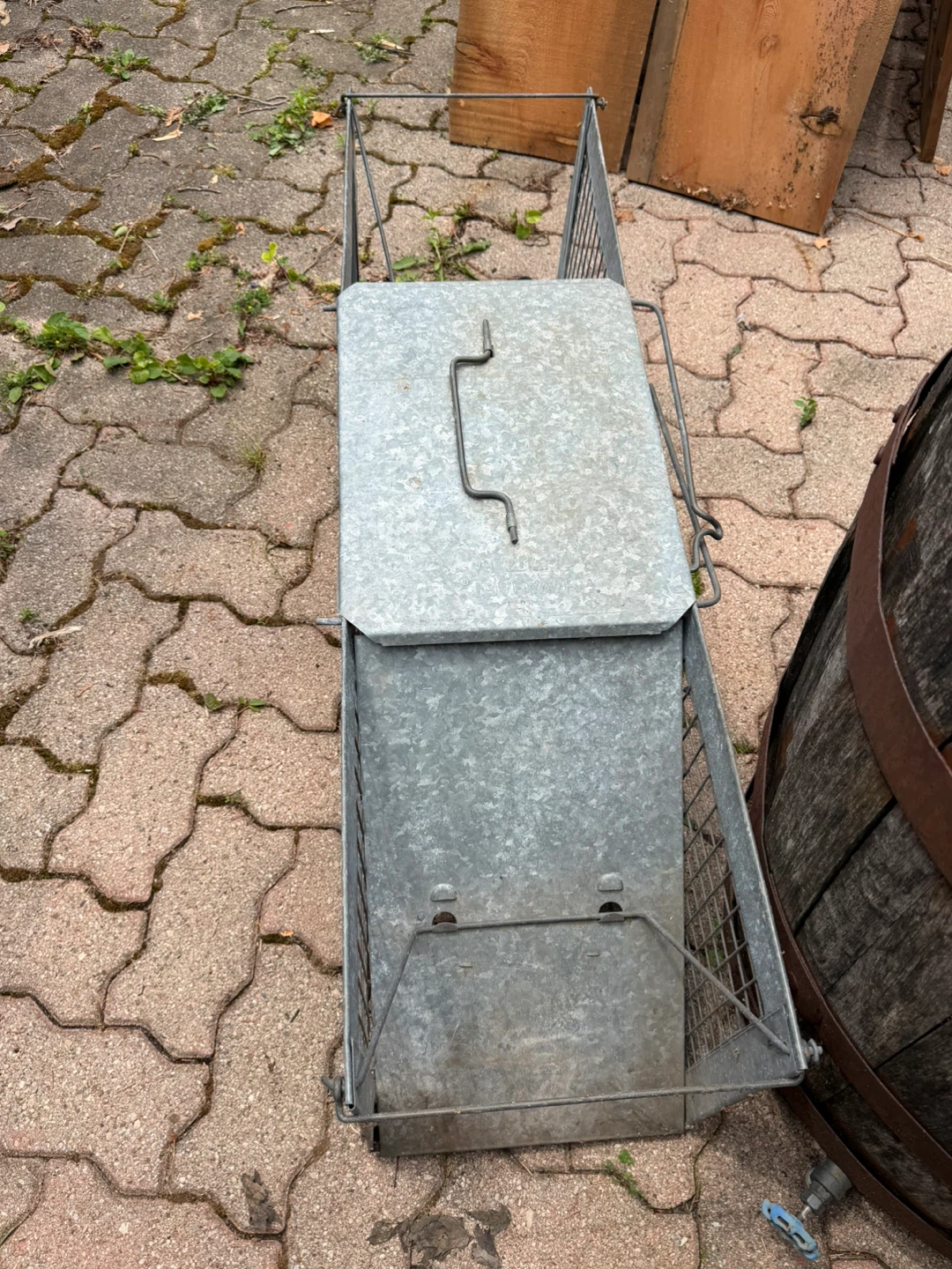 Galvanized Metal Animal Trap Cage - photo 3