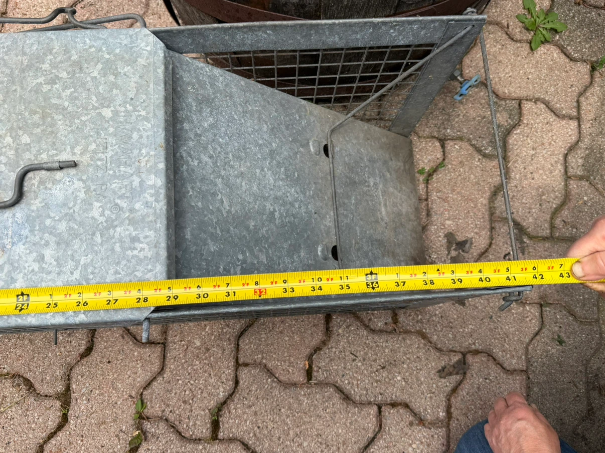 Galvanized Metal Animal Trap Cage - photo 4