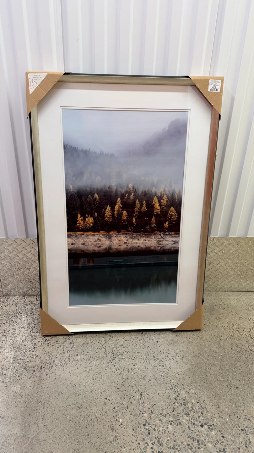 Framed Wall Art - Misty Forest Scene