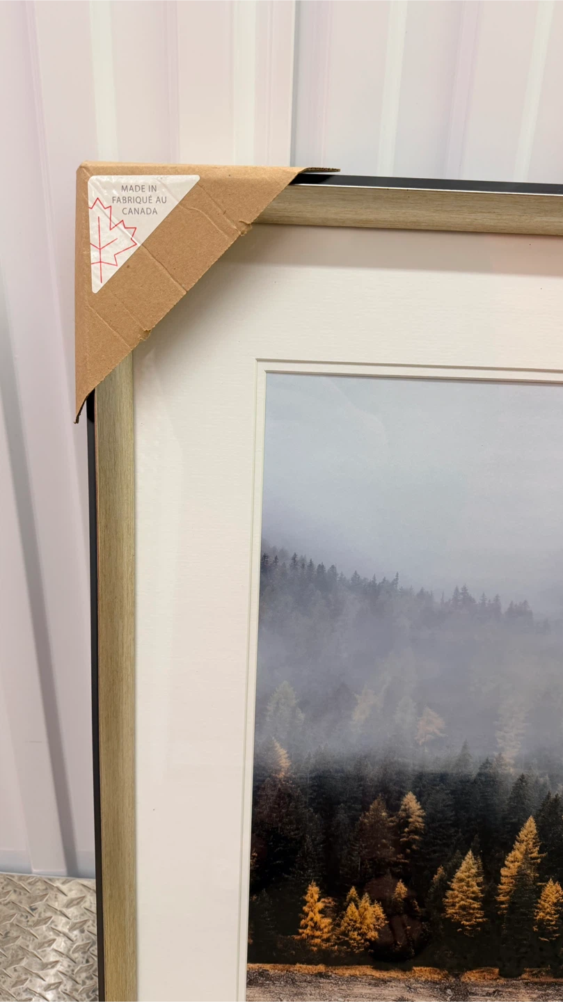 Framed Wall Art - Misty Forest Scene - photo 3