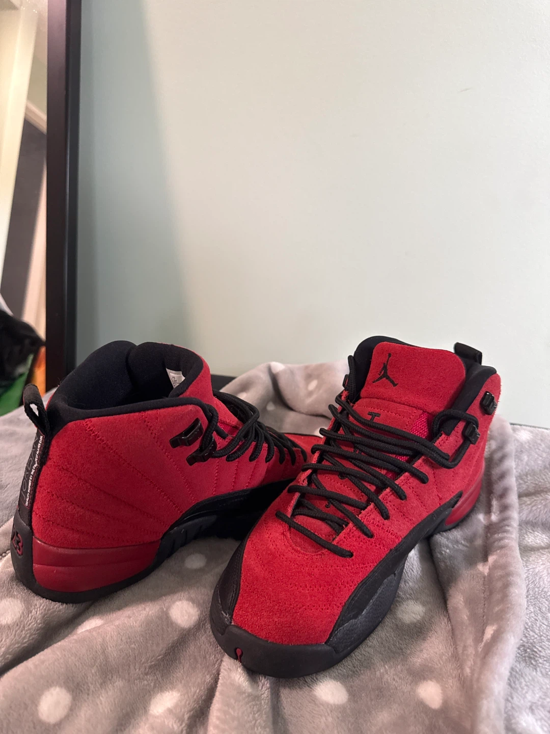 Air Jordan 12 Retro Suede Red