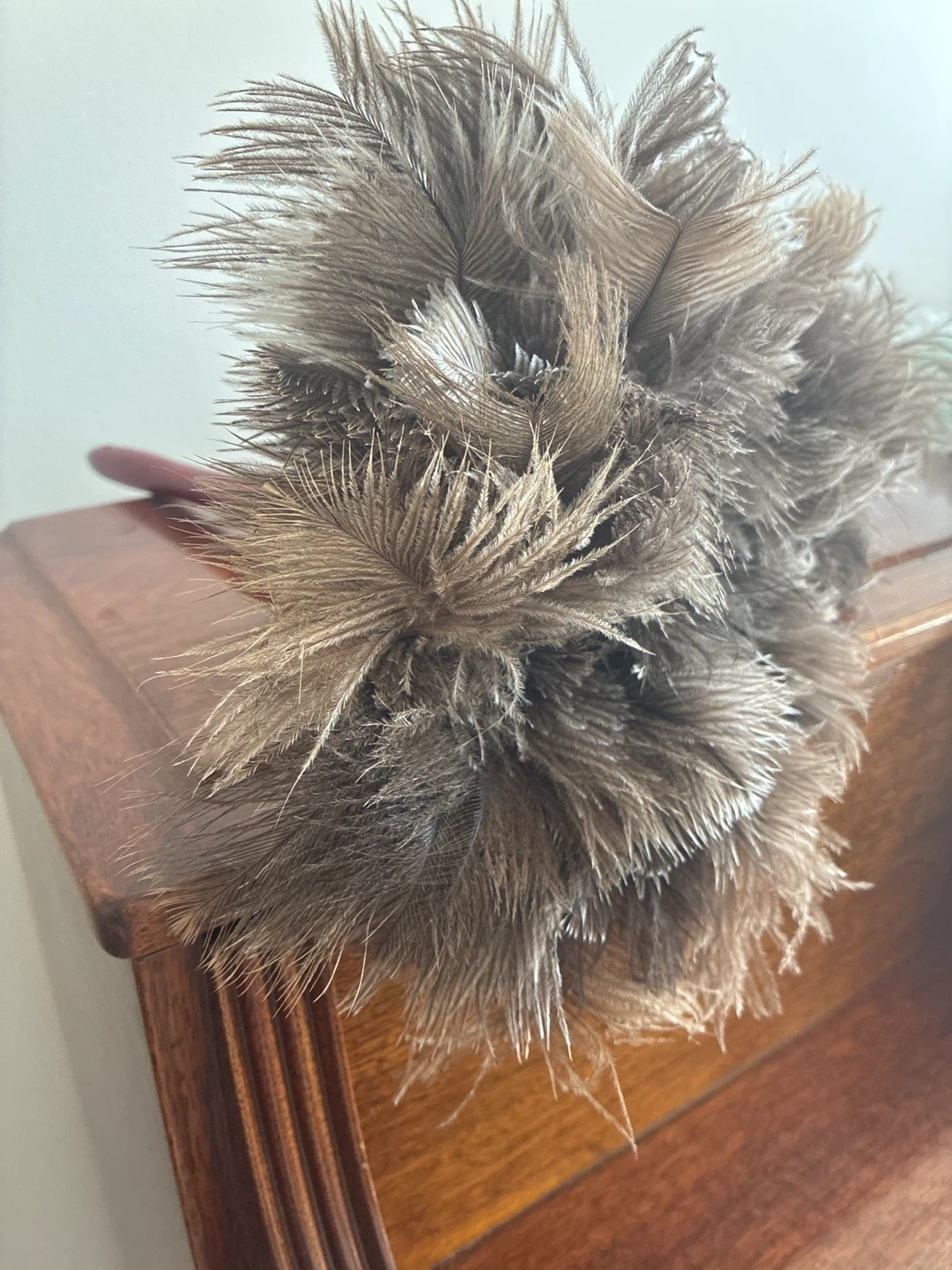 Ostrich Feather Duster