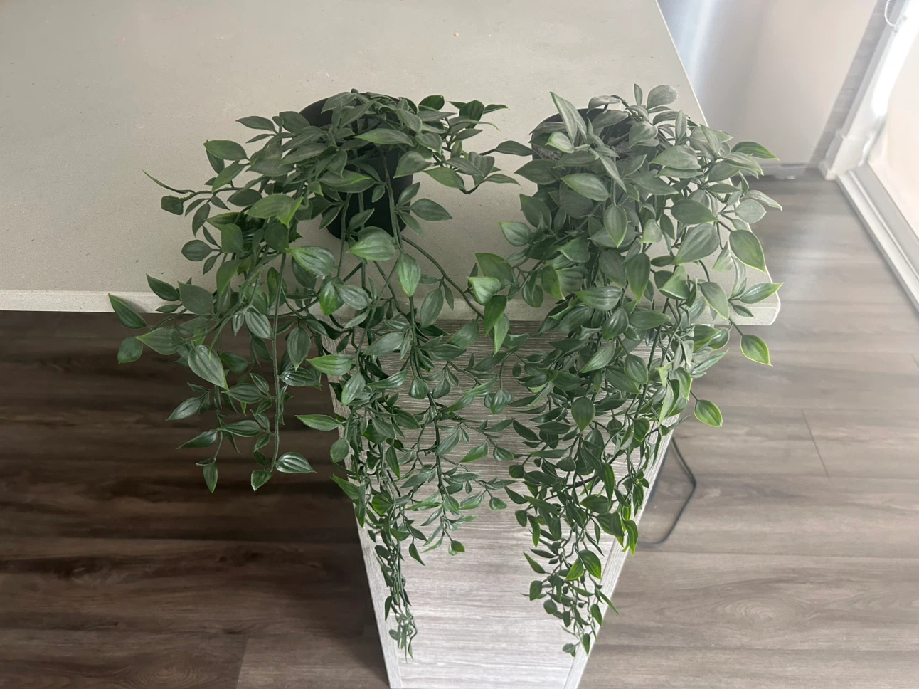 Two Faux Hanging Plants